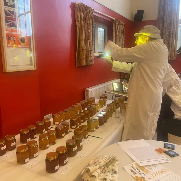 Honey Show 7